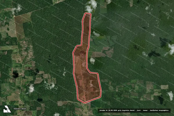 Imagem de satélite de Infração Ambiental em Caroebe - RR