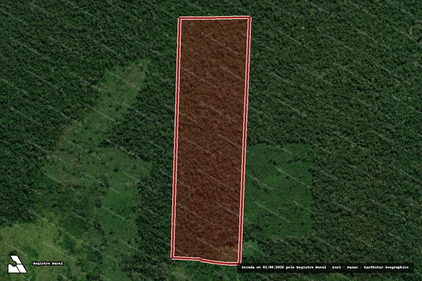 Imagem de satélite de Infração da Flora em Lábrea - AM
