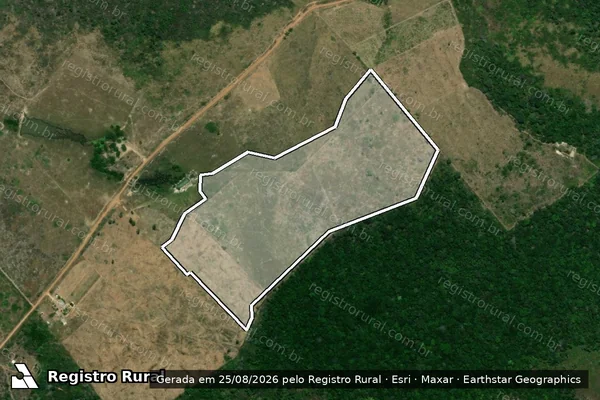 Imagem de satélite de Infração da Flora em Caracaraí - RR