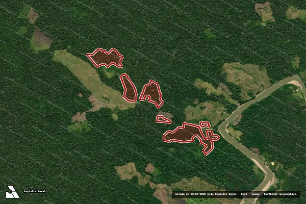 Imagem de satélite de Infração da Flora em Feijó - AC