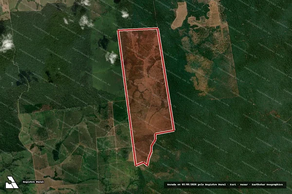 Imagem de satélite de Infração da Flora em Novo Progresso - PA