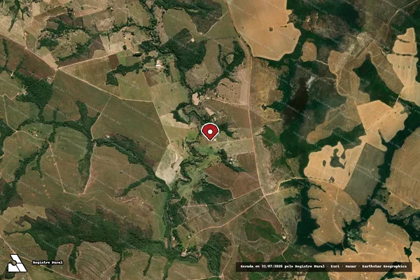 Imagem de satélite de Infração Ambiental em Silvânia - GO (marcador da localização)