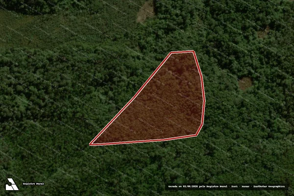 Imagem de satélite de Infração da Flora em General Carneiro - PR