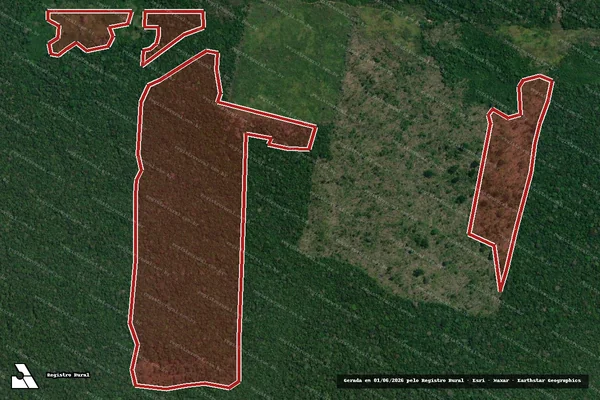 Imagem de satélite de Infração da Flora em Humaitá - AM