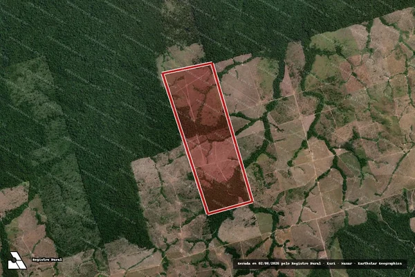 Imagem de satélite de Infração da Flora em Novo Progresso - PA