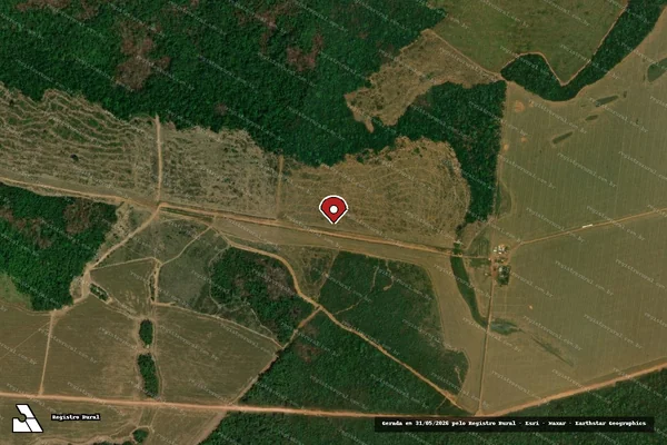 Imagem de satélite de Infração da Flora em Matupá - MT (marcador da localização)