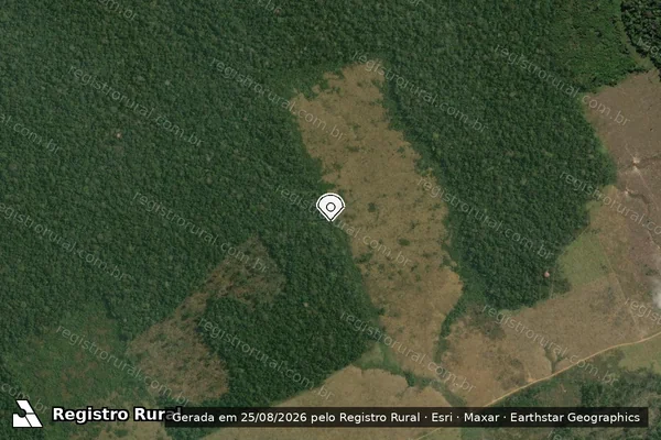 Imagem de satélite de Infração da Flora em Lábrea - AM (marcador da localização)