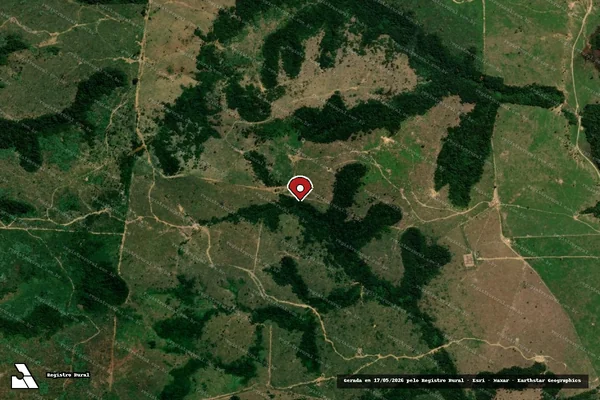 Imagem de satélite de Infração Ambiental em Nova Mamoré - RO (marcador da localização)