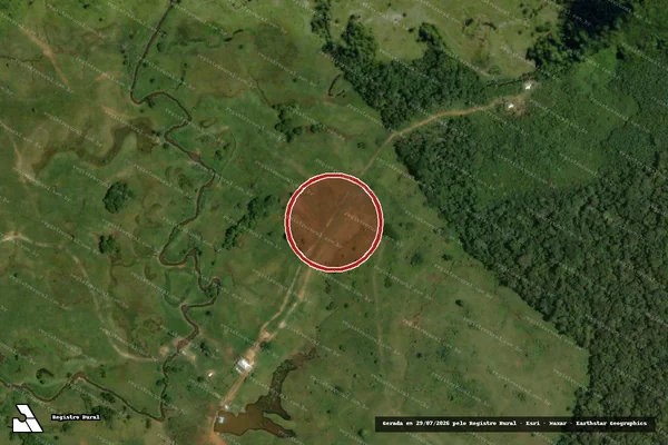 Imagem de satélite de Infração Ambiental em Ipixuna - AM