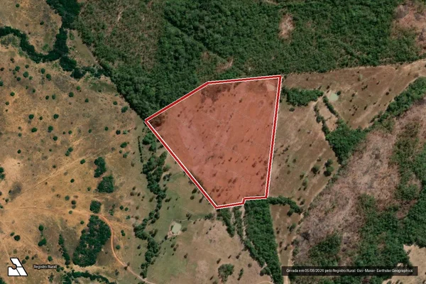 Imagem de satélite de Infração da Flora em Crixás - GO