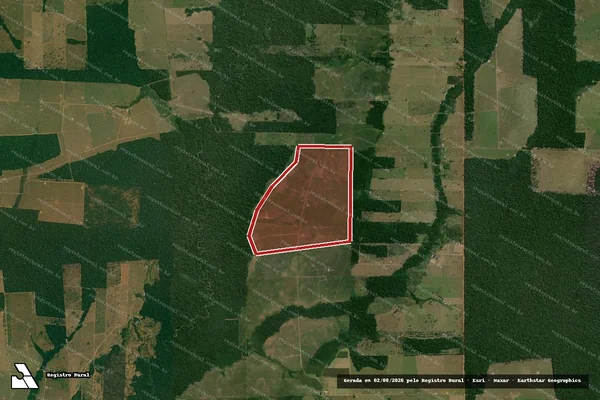 Imagem de satélite — Embargo IBAMA — Infração Ambiental - Alta Floresta D'Oeste/RO