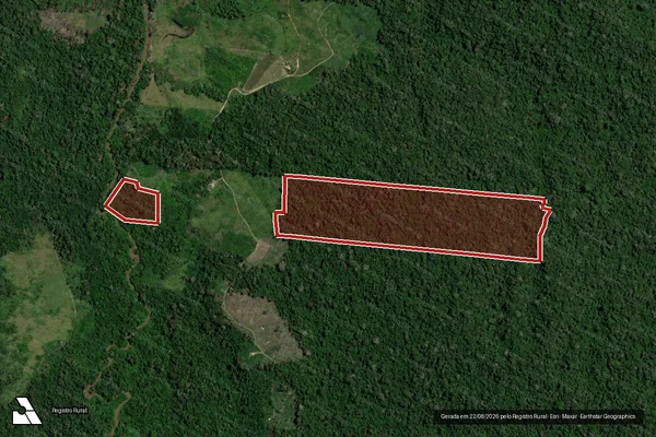 Imagem de satélite de Infração da Flora em Uruará - PA