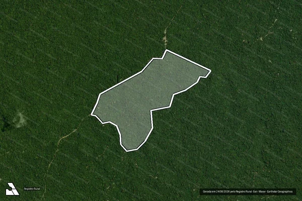 Imagem de satélite de Infração da Flora em Portel - PA