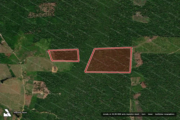 Imagem de satélite de Infração da Flora em Guajará - AM