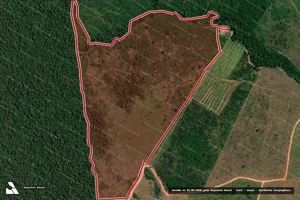 Imagem de satélite de Infração da Flora em Porto Velho - RO