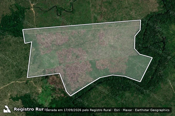 Imagem de satélite — Embargo IBAMA — Infração Ambiental - Apuí/AM