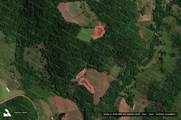 Imagem de satélite de Infração da Flora em Jari - RS