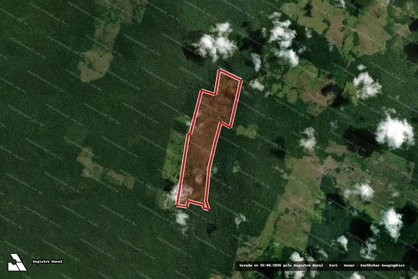Imagem de satélite de Infração da Flora em Senador José Porfírio - PA
