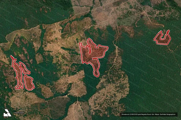Imagem de satélite de Infração da Flora em Novo Progresso - PA