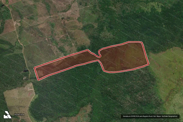 Imagem de satélite de Infração Ambiental em Novo Progresso - PA