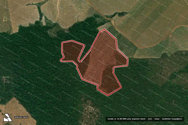 Imagem de satélite — Embargo IBAMA — Infração da Flora - Porto Velho/RO