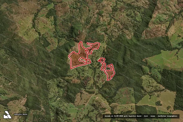 Imagem de satélite — Embargo IBAMA — Infração da Flora — Rubiataba/GO