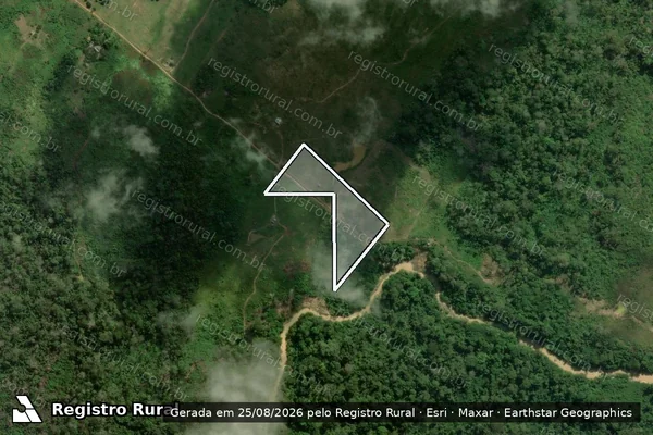 Imagem de satélite de Infração da Flora em Porto Acre - AC