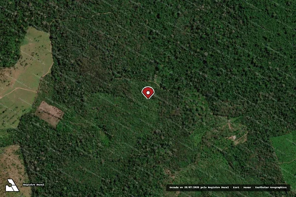 Imagem de satélite de Infração da Flora em Uruará - PA (marcador da localização)