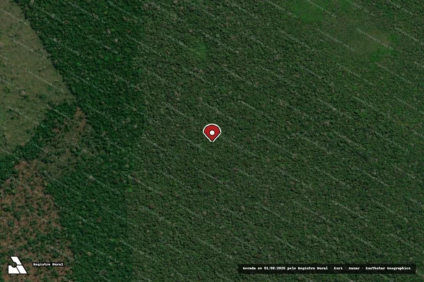 Imagem de satélite de Infração da Flora em Novo Aripuanã - AM (marcador da localização)