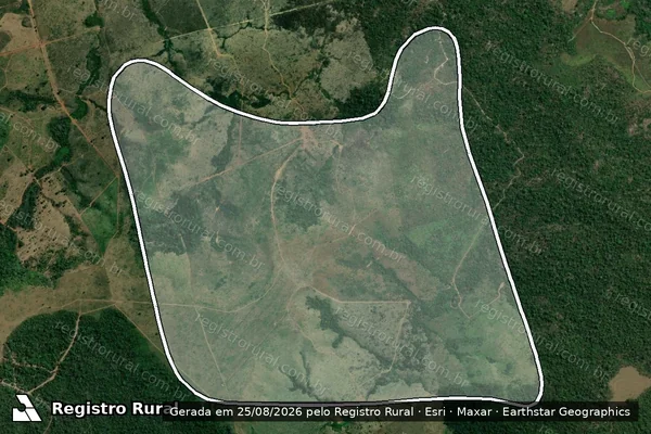 Imagem de satélite de Desmatamento em Itaituba - PA