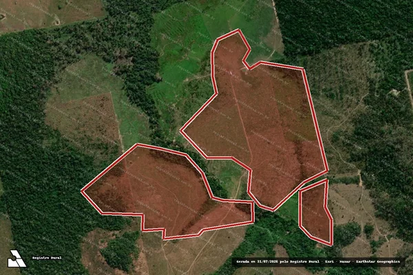 Imagem de satélite de Infração da Flora em Nova Bandeirantes - MT