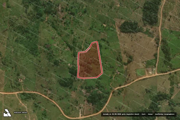 Imagem de satélite de Desmatamento em Campo Novo de Rondônia - RO