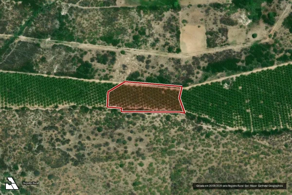 Imagem de satélite de Infração da Flora em Delmiro Gouveia - AL