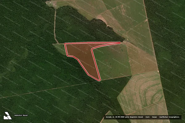 Imagem de satélite de Infração da Flora em Gaúcha do Norte - MT