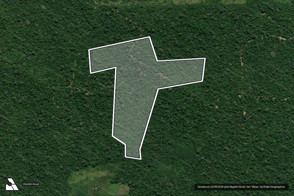 Imagem de satélite de Infração da Flora em Pacajá - PA