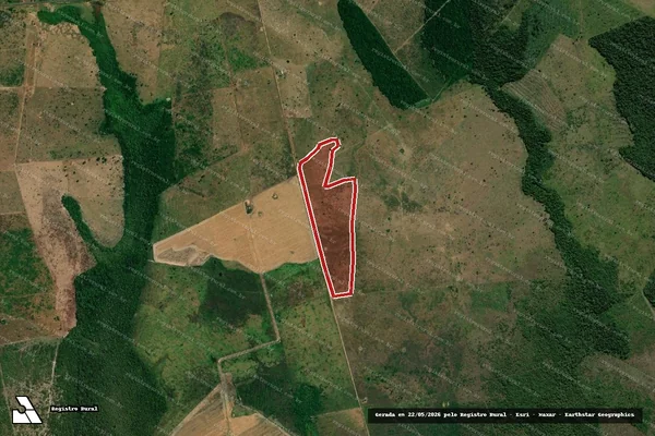 Imagem de satélite de Infração Ambiental em São Francisco do Guaporé - RO