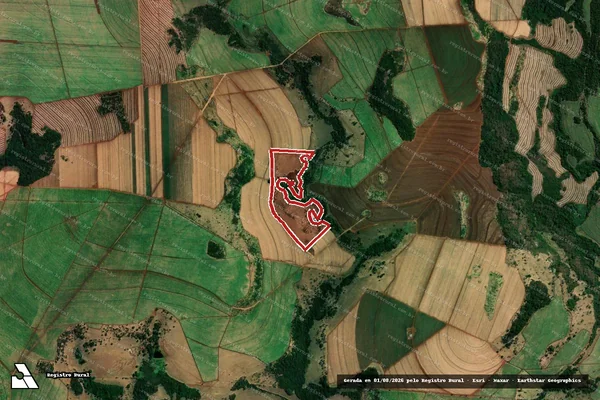 Imagem de satélite de Infração da Flora em Uberaba - MG