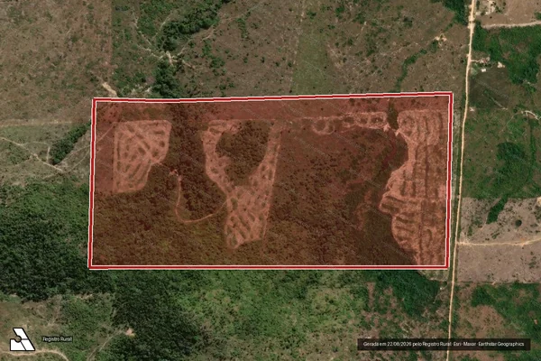 Imagem de satélite de Infração da Flora em Cotriguaçu - MT