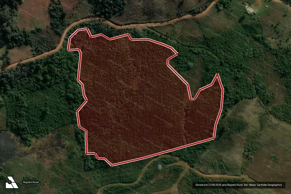 Imagem de satélite de Infração da Flora em Pinhão - PR