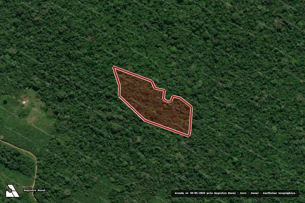 Imagem de satélite de Infração Ambiental em Anapu - PA