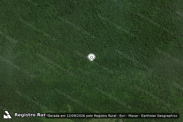 Imagem de satélite de Infração Ambiental em São Félix do Xingu - PA (marcador da localização)