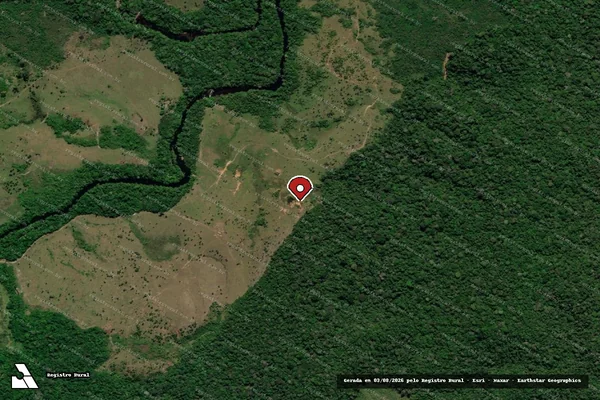 Imagem de satélite de Infração Ambiental em Apuí - AM (marcador da localização)