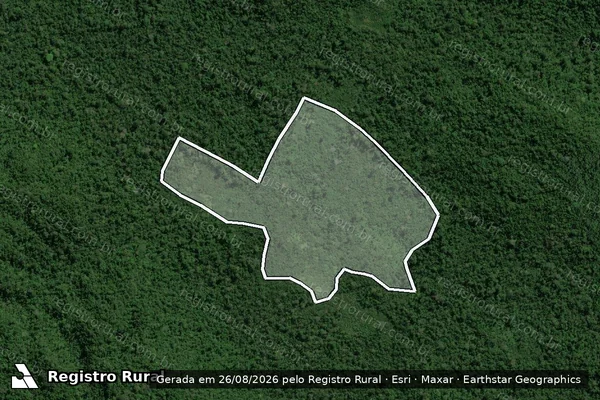 Imagem de satélite de Infração Ambiental em São Félix do Xingu - PA