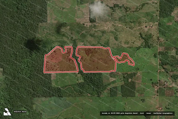 Imagem de satélite de Infração da Flora em Monte Alegre - PA