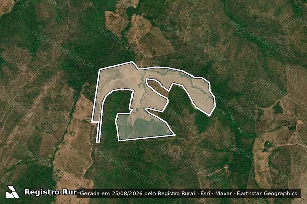 Imagem de satélite — Embargo IBAMA — Infração da Flora — Pindorama do Tocantins/TO