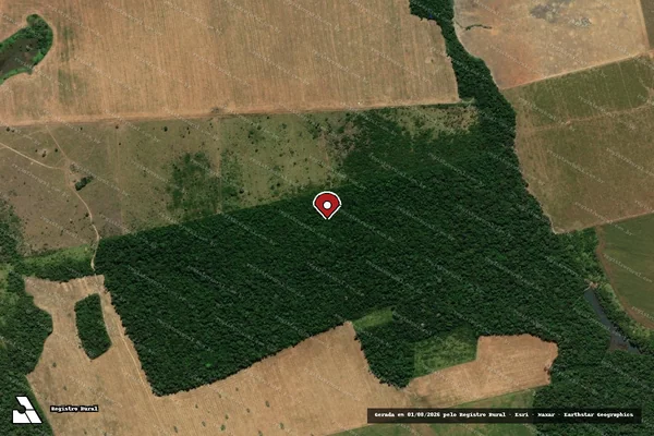 Imagem de satélite de Infração da Flora em Tabaporã - MT (marcador da localização)