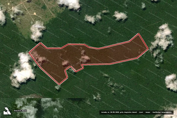 Imagem de satélite — Embargo IBAMA — Infração da Flora - Anapu/PA