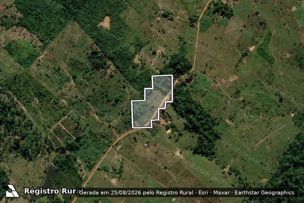 Imagem de satélite de Infração da Flora em Acrelândia - AC