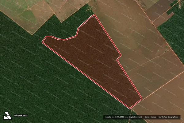 Imagem de satélite de Infração da Flora em Marcelândia - MT