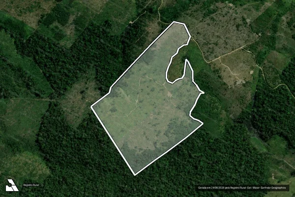 Imagem de satélite de Infração da Flora em Pacajá - PA